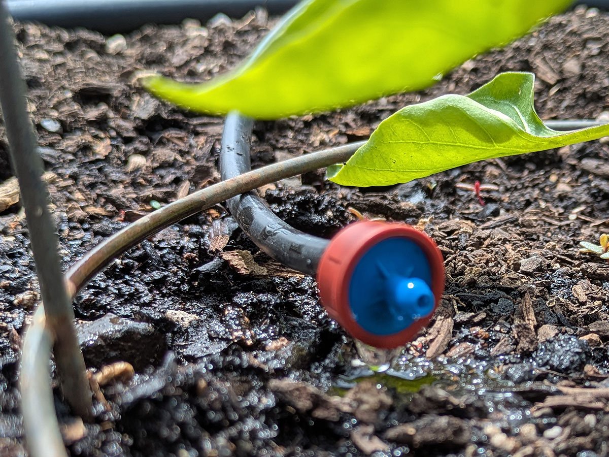Drip irrigation emitter delivering water to soil